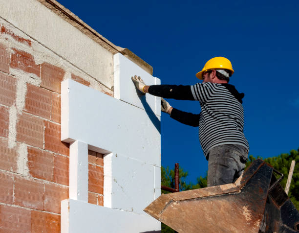 Best Insulation Replacement Services  in Stem, NC