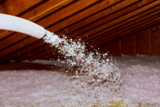 Best Insulation Contractors for Homes  in Stem, NC