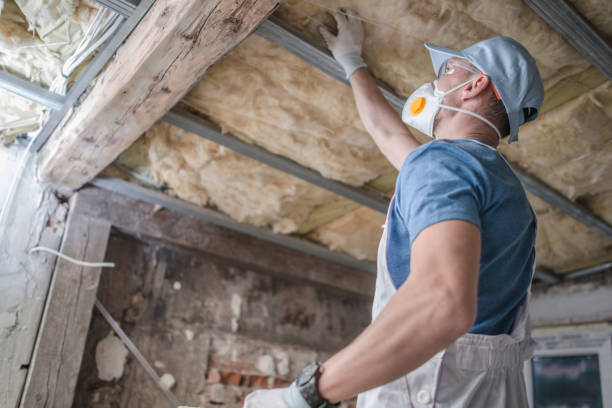 Best Garage Insulation Installation  in Stem, NC
