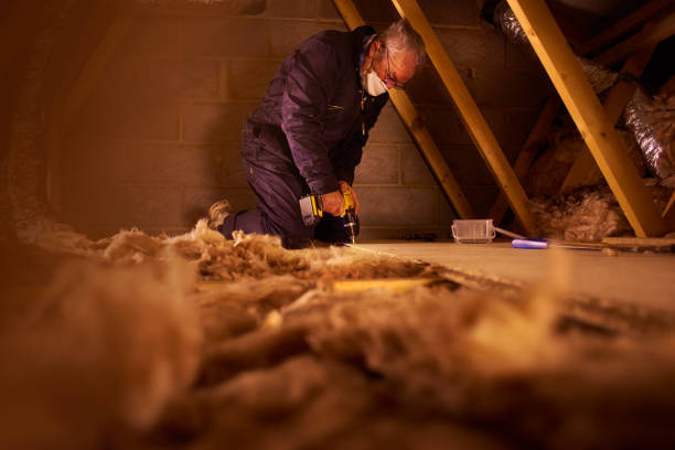 Best Residential Insulation Services  in Stem, NC